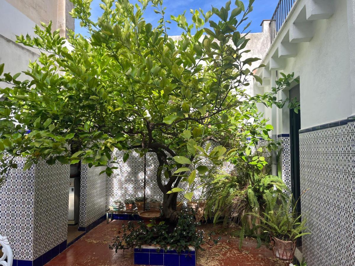Holiday home Romi *